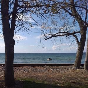 Meet your Posher, Greg